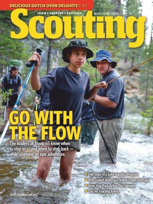 cover image of Scouting